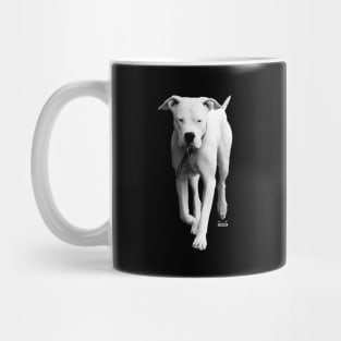 dogo argentino / Swiss Artwork Photography Mug